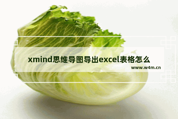 xmind思维导图导出excel表格怎么操作