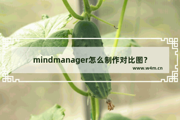 mindmanager怎么制作对比图？