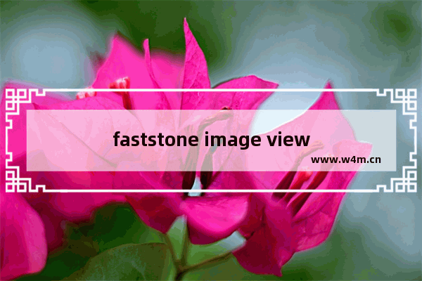 faststone image viewer怎么更改缩略图大小