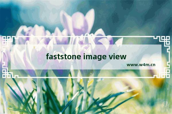 faststone image viewer怎么设置中文