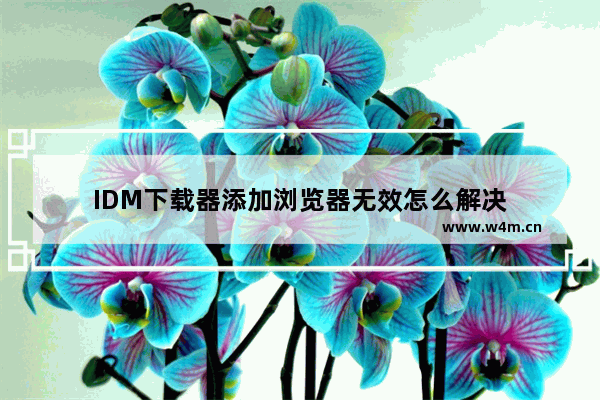 IDM下载器添加浏览器无效怎么解决