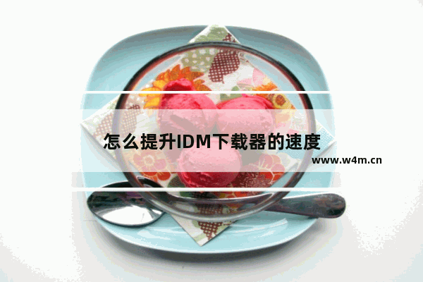 怎么提升IDM下载器的速度