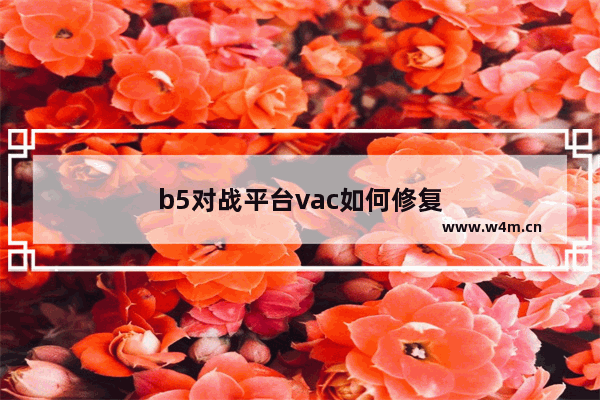 b5对战平台vac如何修复