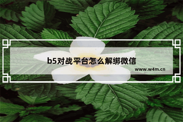 b5对战平台怎么解绑微信