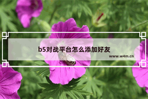 b5对战平台怎么添加好友