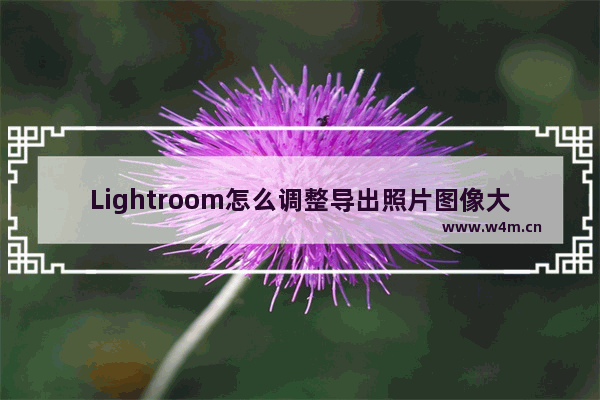 Lightroom怎么调整导出照片图像大小的分辨率