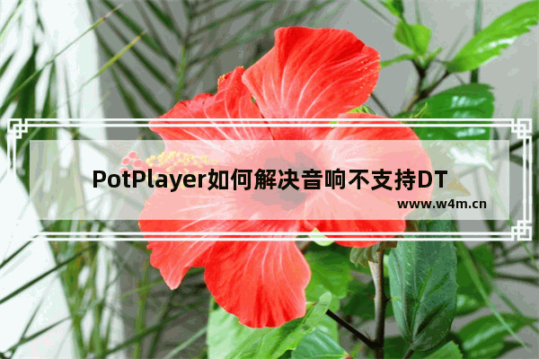 PotPlayer如何解决音响不支持DTS编码问题