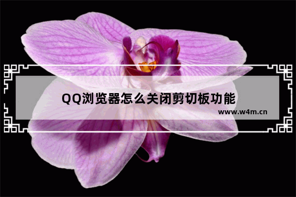 QQ浏览器怎么关闭剪切板功能