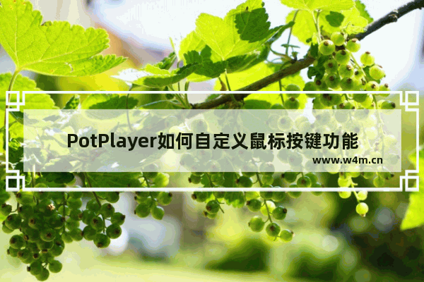 PotPlayer如何自定义鼠标按键功能