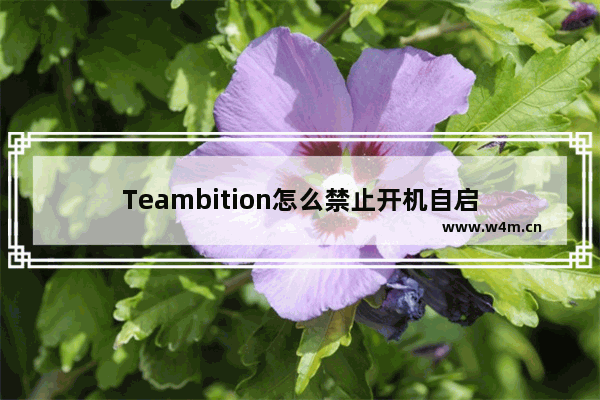 Teambition怎么禁止开机自启