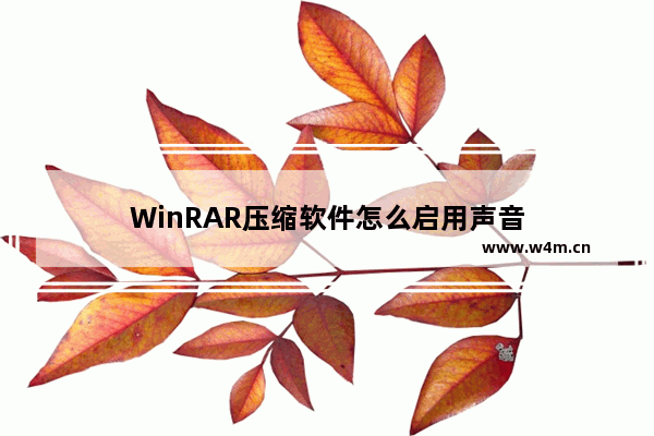 WinRAR压缩软件怎么启用声音