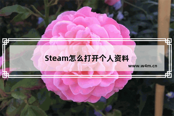 Steam怎么打开个人资料