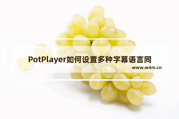 PotPlayer如何设置多种字幕语言同时显示