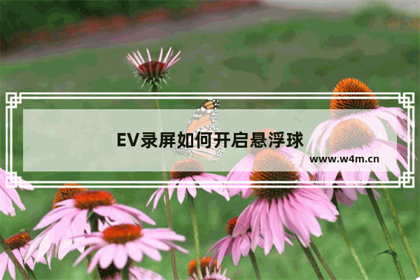 EV录屏如何开启悬浮球