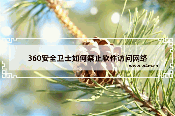 360安全卫士如何禁止软件访问网络