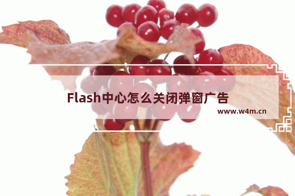 Flash中心怎么关闭弹窗广告