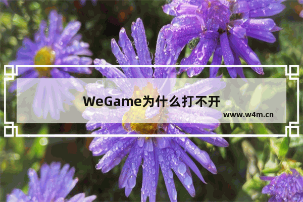 WeGame为什么打不开