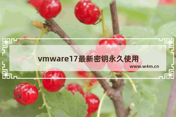 vmware17最新密钥永久使用