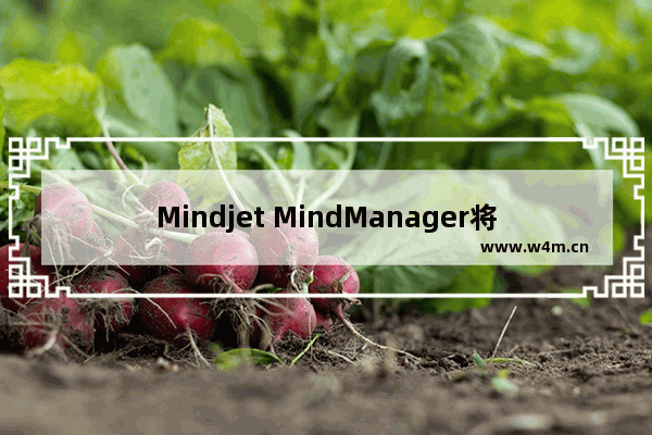 Mindjet MindManager将导图保存为图片的方法