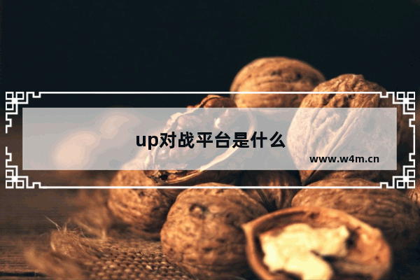 up对战平台是什么