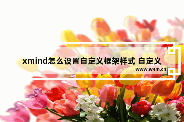 xmind怎么设置自定义框架样式 自定义框架样式设置教程分享