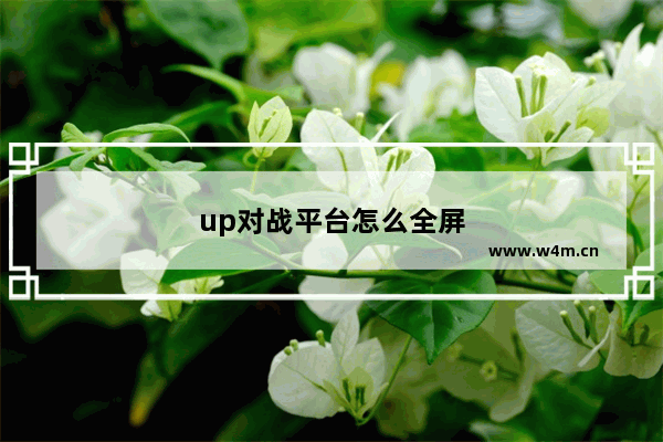 up对战平台怎么全屏