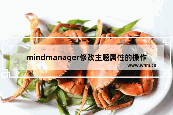 mindmanager修改主题属性的操作方法