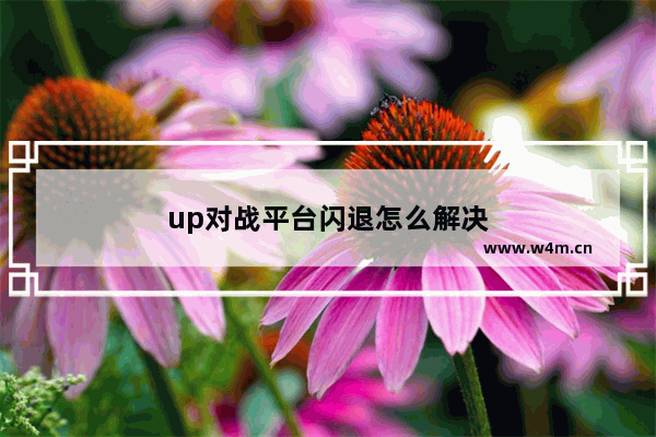 up对战平台闪退怎么解决