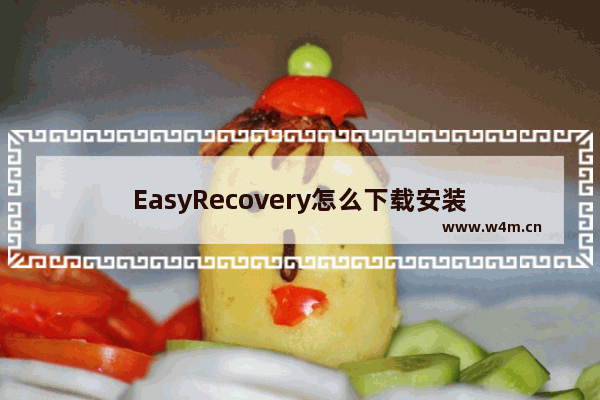 EasyRecovery怎么下载安装