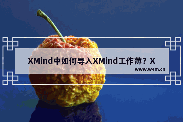 XMind中如何导入XMind工作薄？XMind中导入XMind工作薄的详细方法