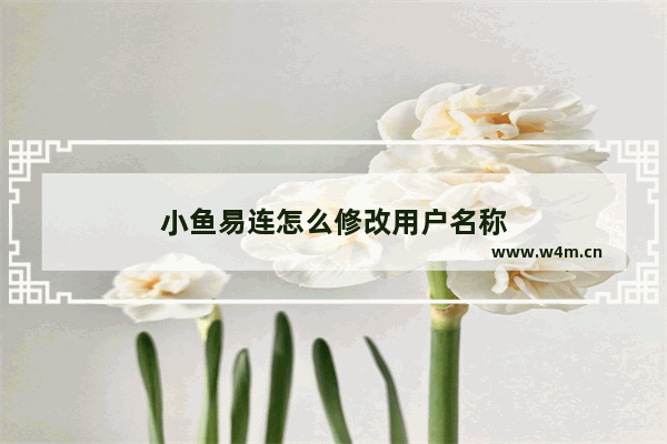 小鱼易连怎么修改用户名称