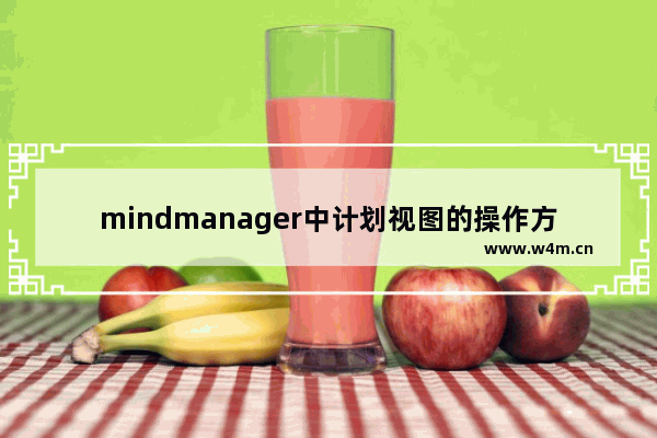 mindmanager中计划视图的操作方法