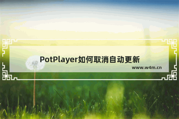 PotPlayer如何取消自动更新