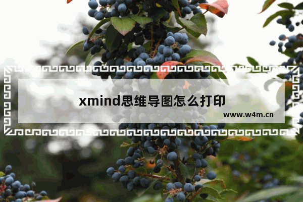 xmind思维导图怎么打印