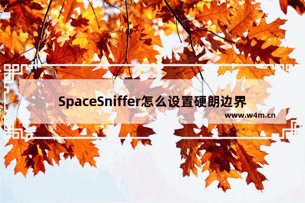 SpaceSniffer怎么设置硬朗边界对比