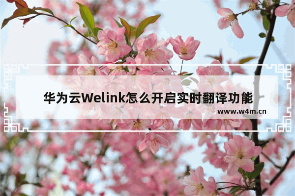 华为云Welink怎么开启实时翻译功能