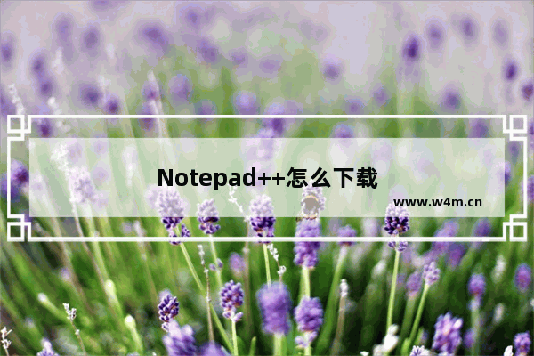 Notepad++怎么下载