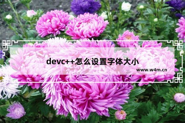 devc++怎么设置字体大小