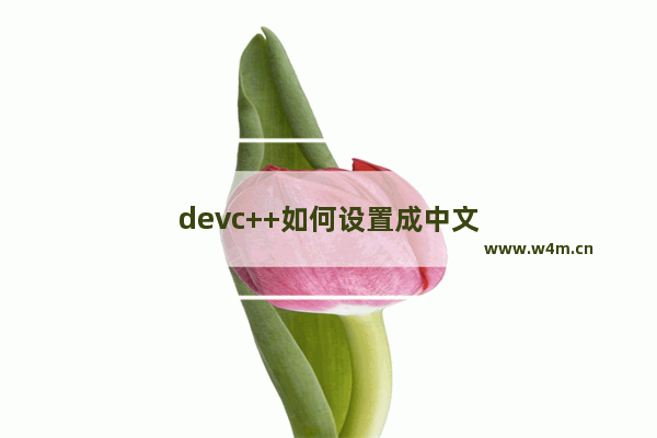 devc++如何设置成中文