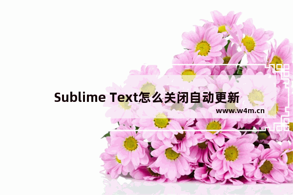 Sublime Text怎么关闭自动更新