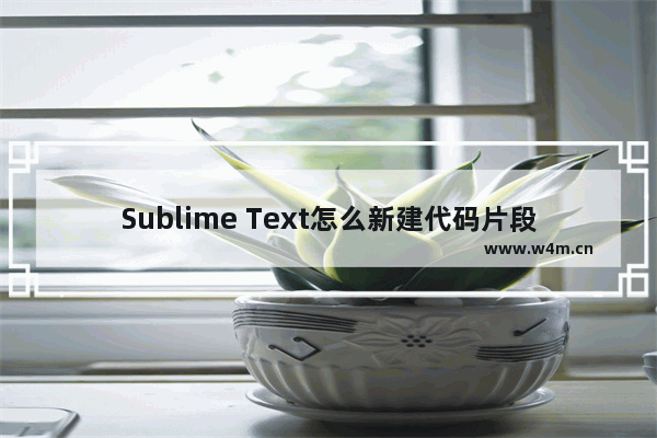 Sublime Text怎么新建代码片段