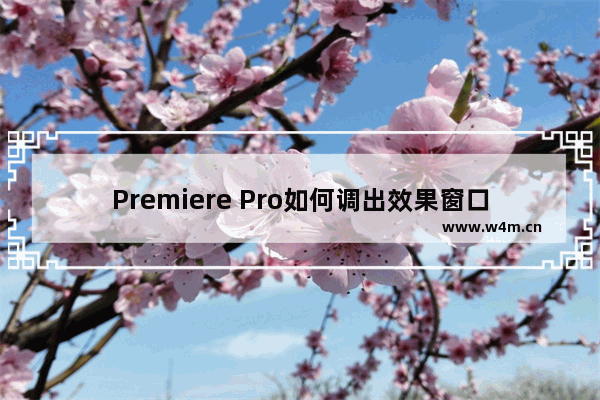 Premiere Pro如何调出效果窗口