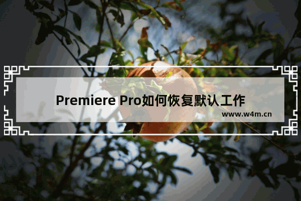 Premiere Pro如何恢复默认工作区