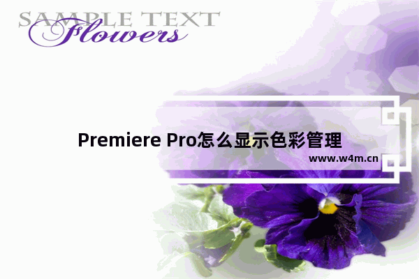 Premiere Pro怎么显示色彩管理