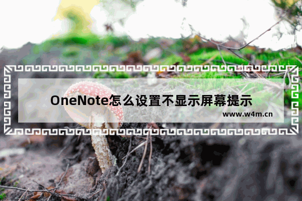 OneNote怎么设置不显示屏幕提示