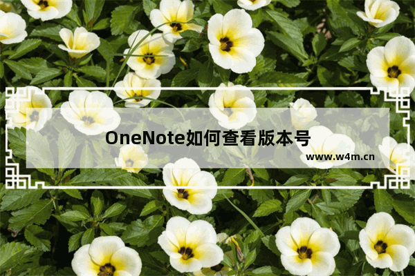 OneNote如何查看版本号