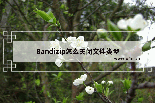 Bandizip怎么关闭文件类型