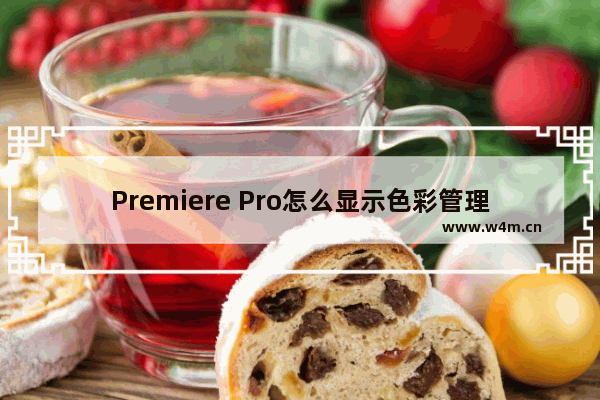 Premiere Pro怎么显示色彩管理