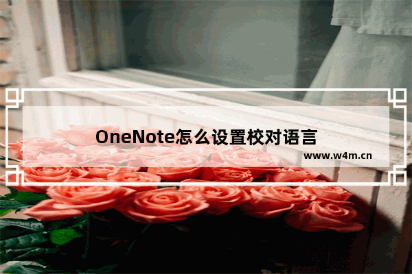 OneNote怎么设置校对语言