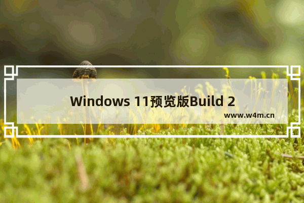 Windows 11预览版Build 25435更新内容介绍